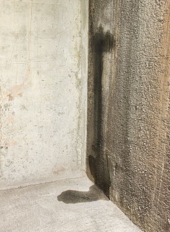 Basement Leak Repair in Fort Wayne, IN