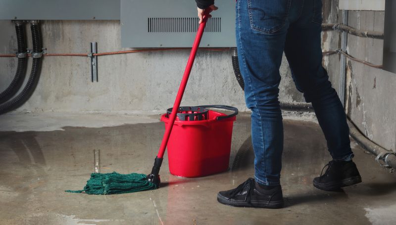 Basement Seepage Repair in Fort Wayne, IN