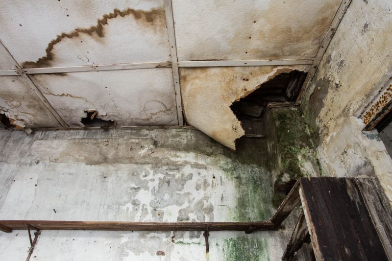 Foundation Leak Repair in Greenville, SC