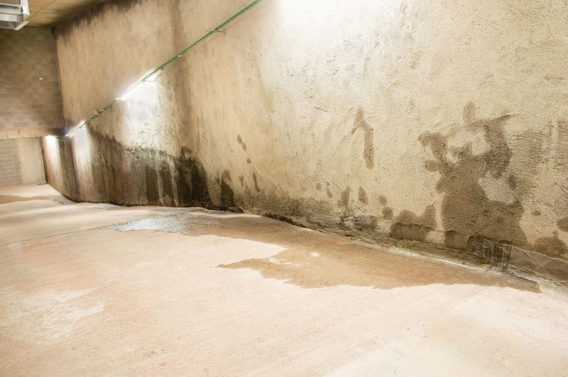 Wet Basement Solutions in Fort Collins, CO